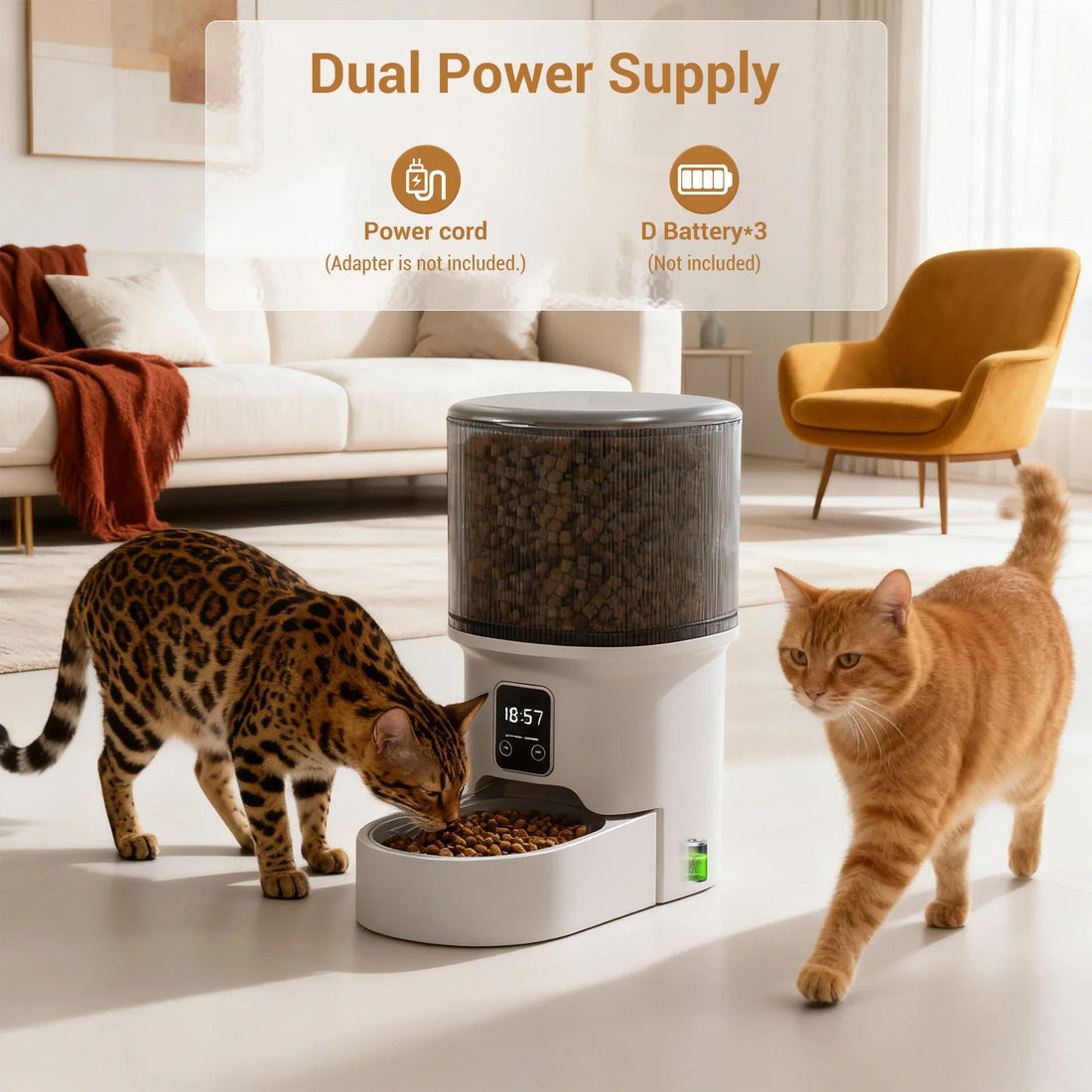 4L Automatic Cat Feeder with Timer Portion Control 1-6 Meals Per Day Button Control for Cats &amp; Small Dogs Supplies