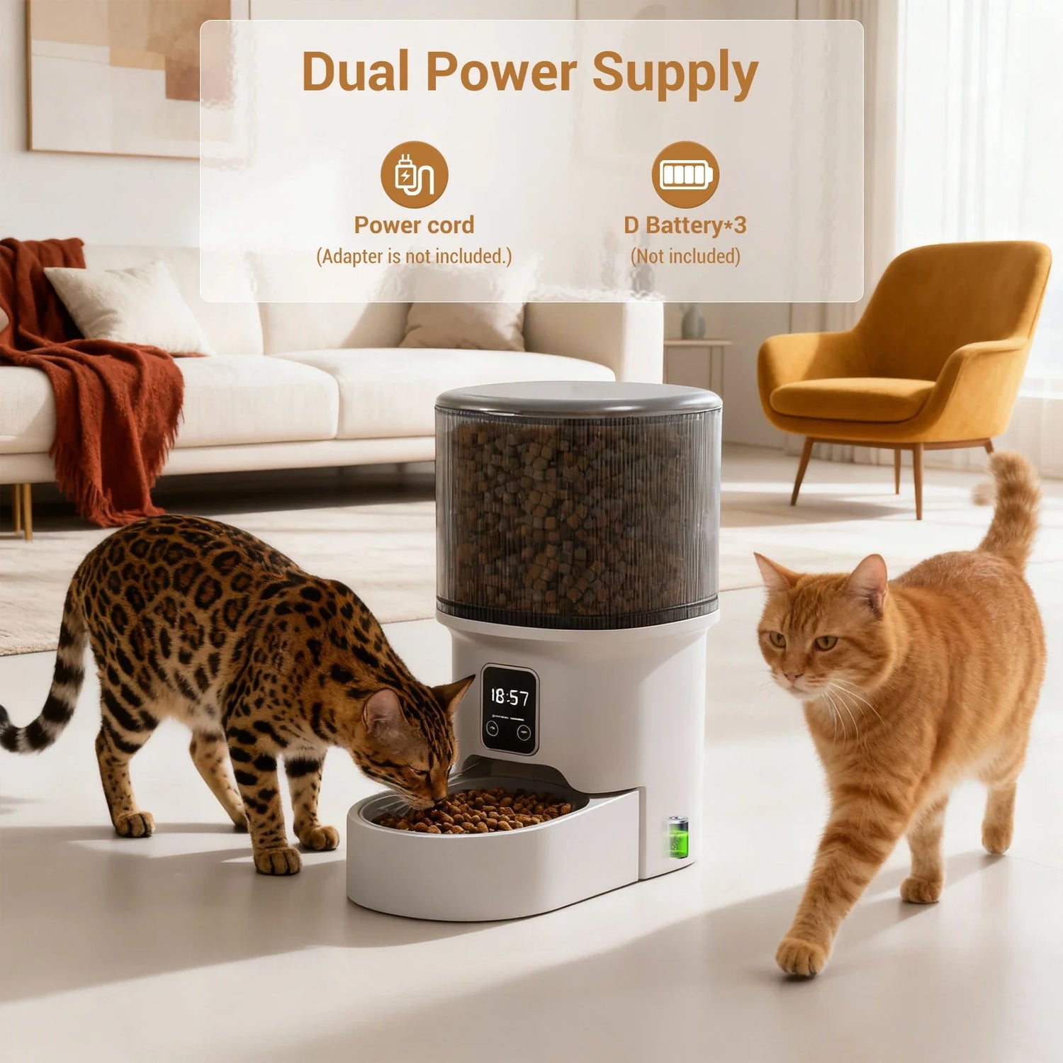 4L Automatic Cat Feeder with Timer Portion Control 1-6 Meals Per Day Button Control for Cats &amp; Small Dogs Supplies