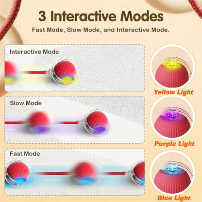 Ball Toy,Automatic Rolling
