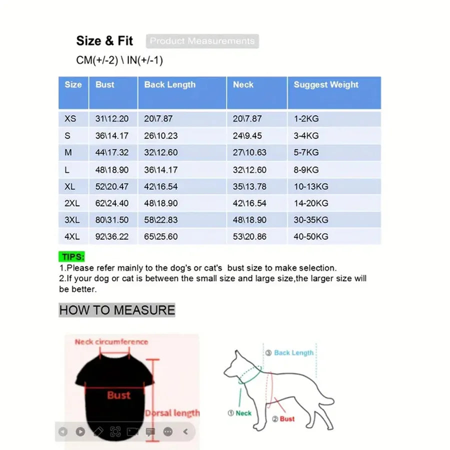 Waterproof &amp; Windproof Dog Raincoat!