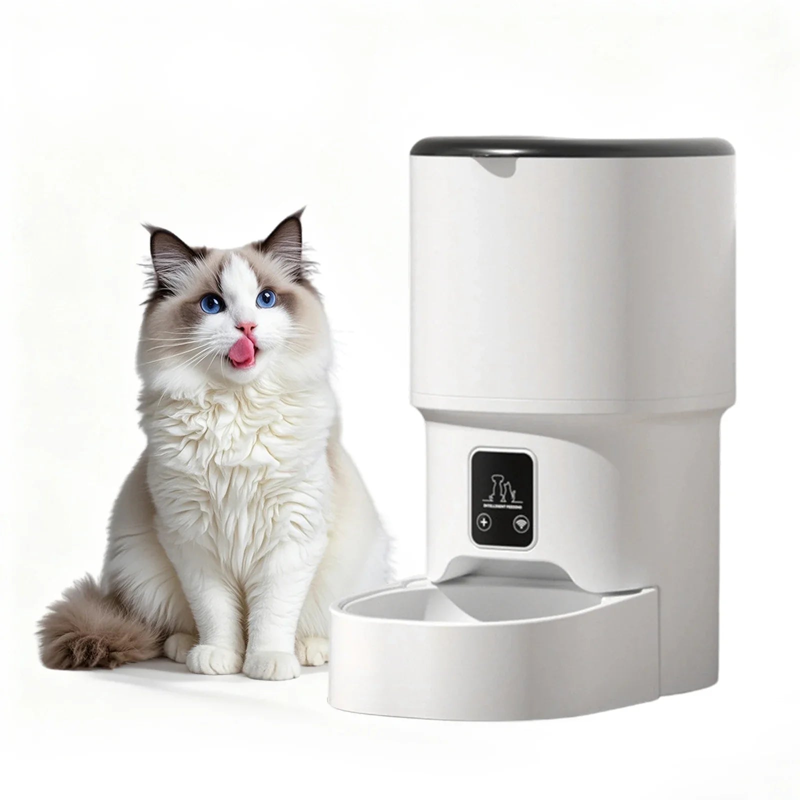 4L Automatic Cat Feeder with Timer Portion Control 1-6 Meals Per Day Button Control for Cats &amp; Small Dogs Supplies