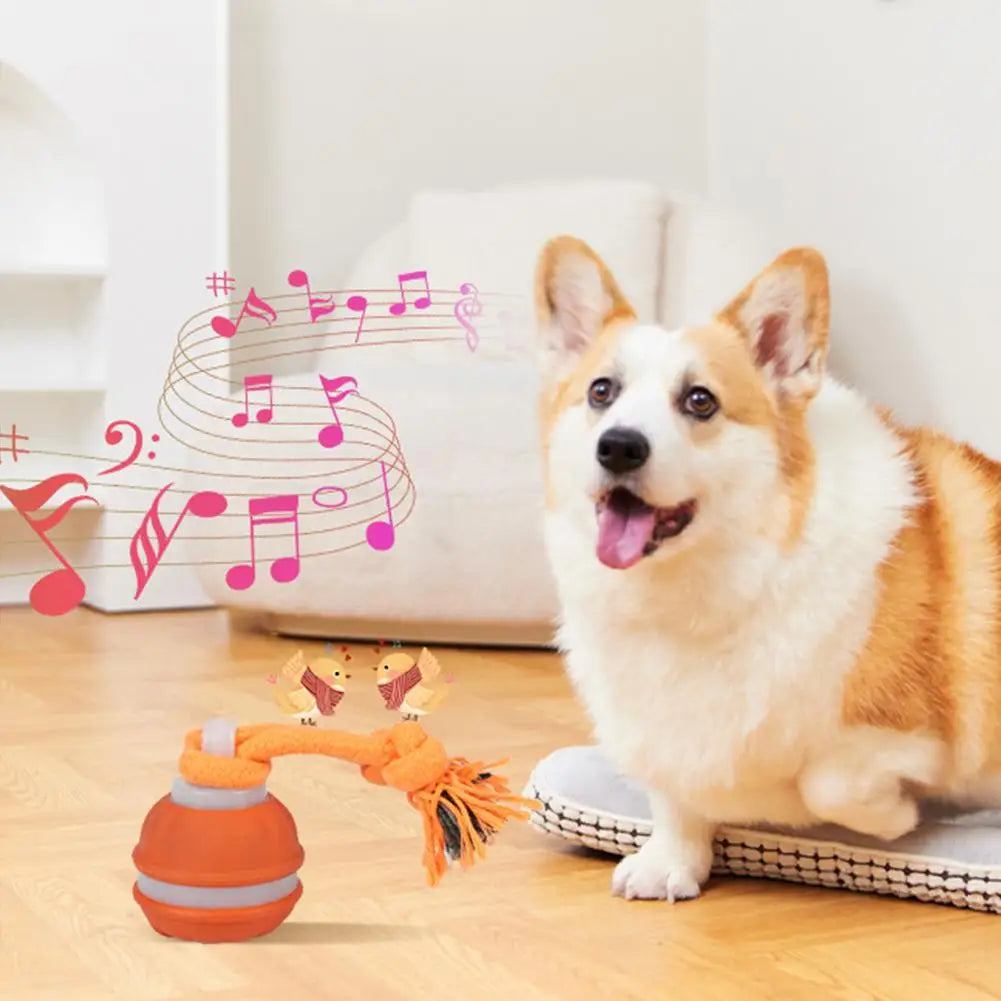 Pet Ball Interactive Toys for Dogs Motion Activate Rolling Ball for Puppy/Small Dogs Automatic Moving Toy USB Rechargeable Toy
