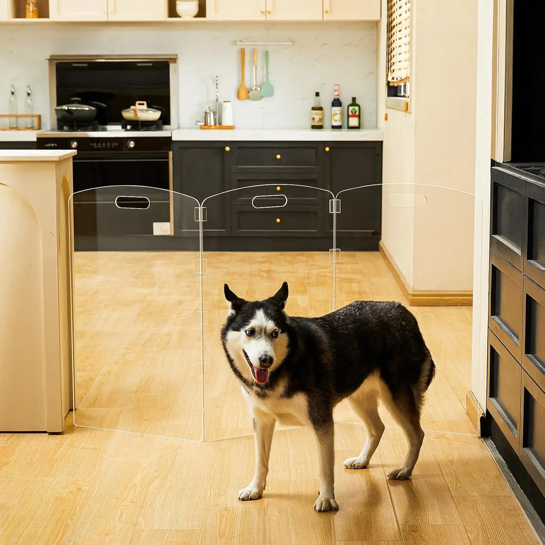 Clear Acrylic Pet Gate - 32" Tall Folding Barrier for Doorways &amp; Stairs, Indoor Fence for Dogs &amp; Cats