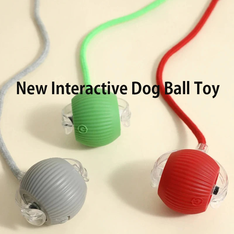 Ball Toy,Automatic Rolling