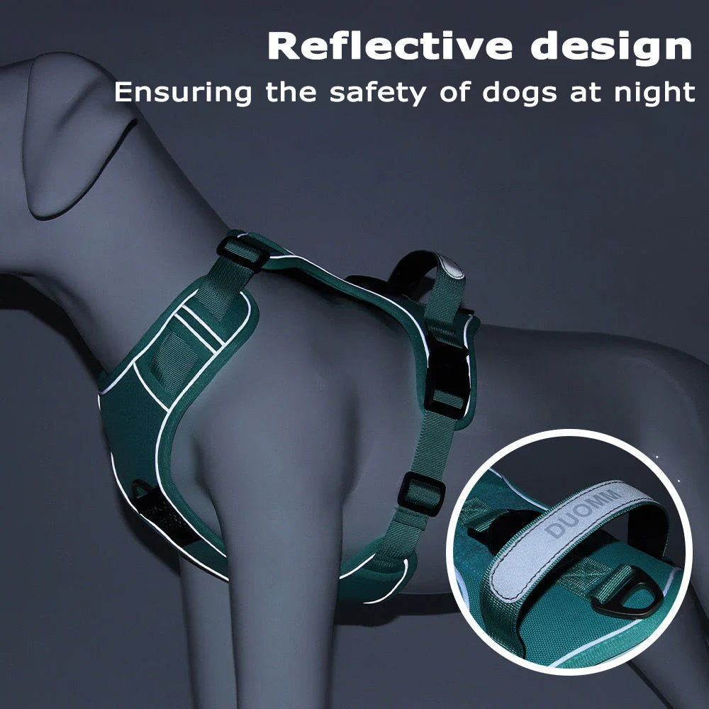 TrackSafe Reflective No-Pull Dog Harness &amp; Leash Set