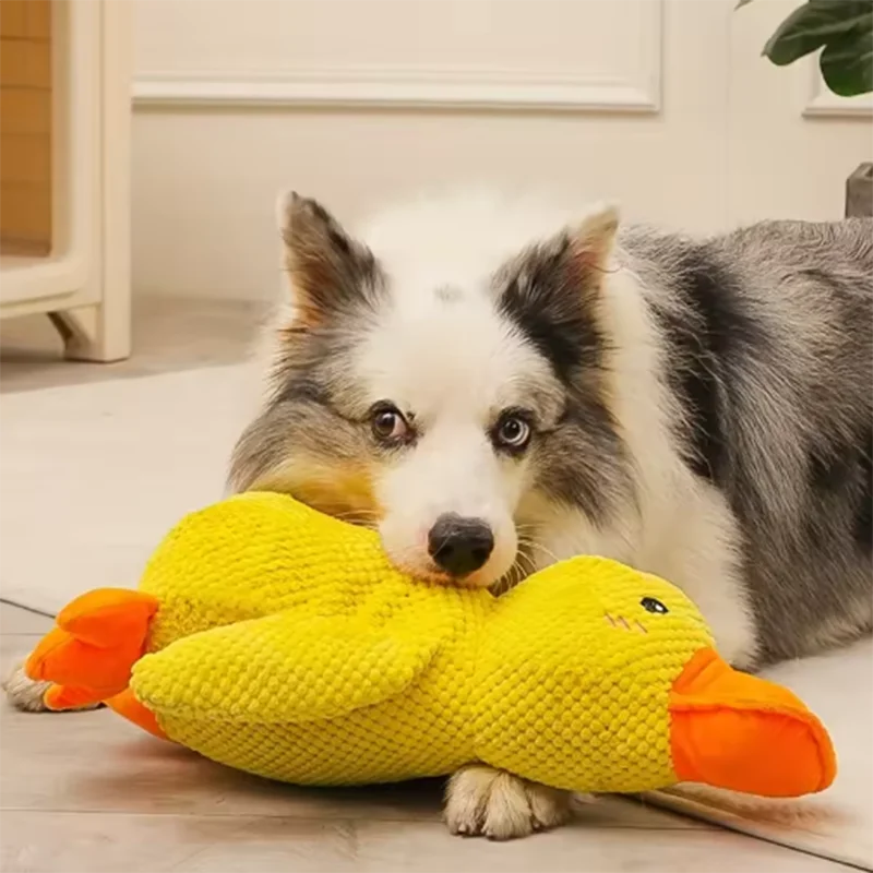 Duck Dog Toy