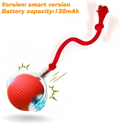 Ball Toy,Automatic Rolling