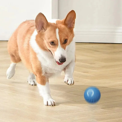 Smart Dog Toys Ball