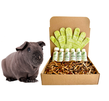4-HAIRLESS PETS *SKINNYPIG SENSITIVE KIT