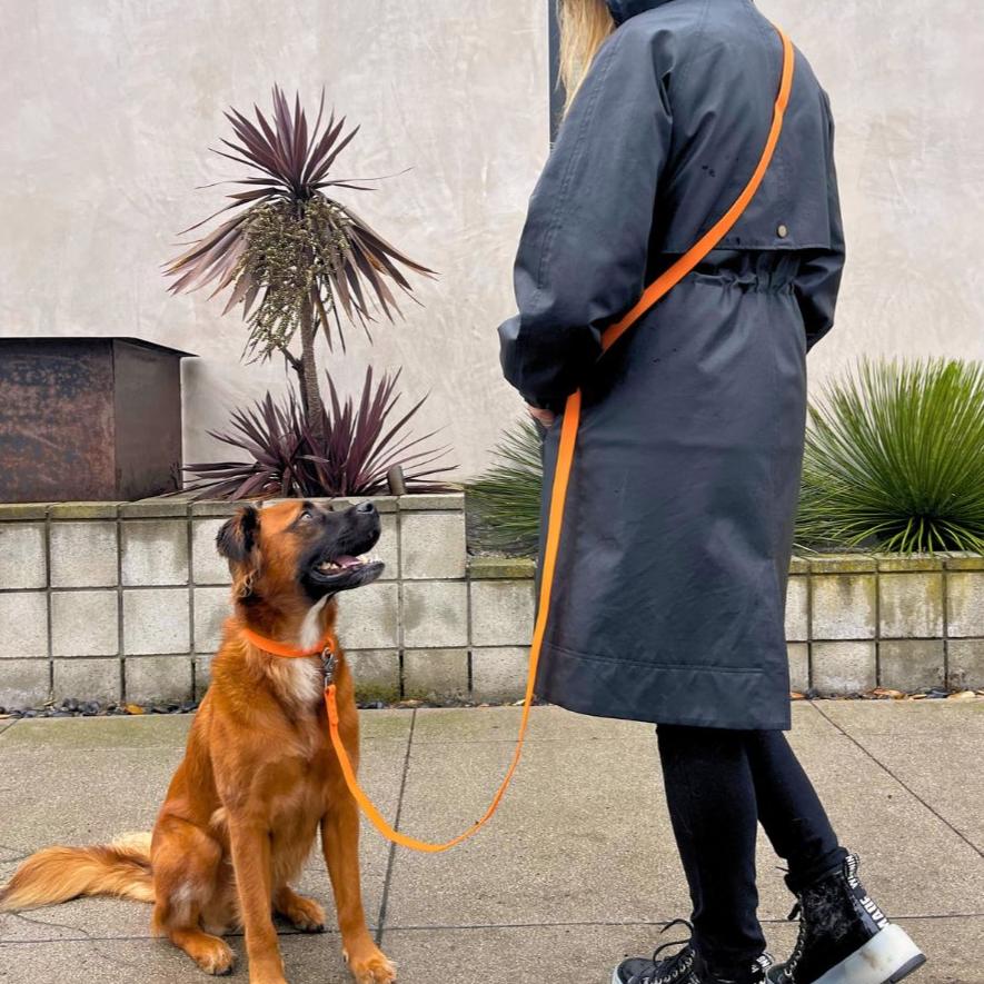 Tilley + Me PVC Handsfree Dog Leash - All Weather Waterproof Durable &amp; Odor-Resistant