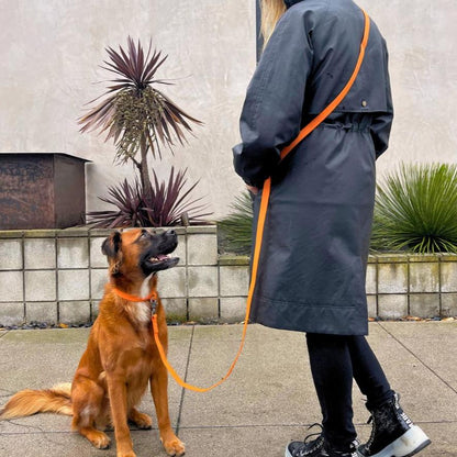 Tilley + Me PVC Dog Collar - All Weather Waterproof Durable &amp; Odor-Resistant