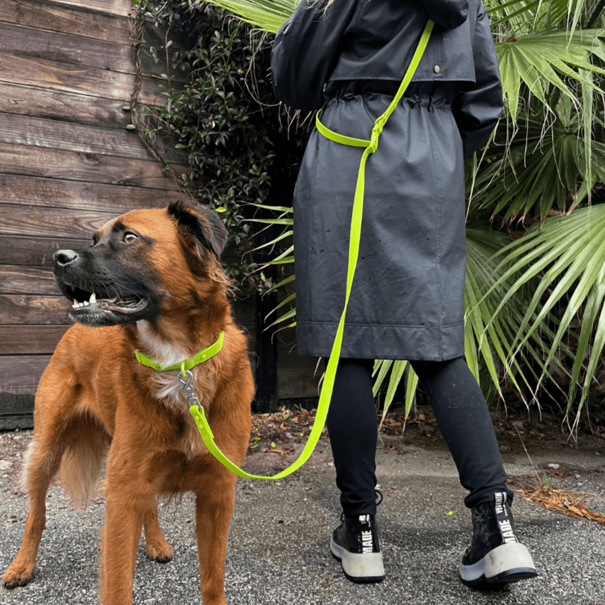 Tilley + Me PVC Dog Collar - All Weather Waterproof Durable &amp; Odor-Resistant