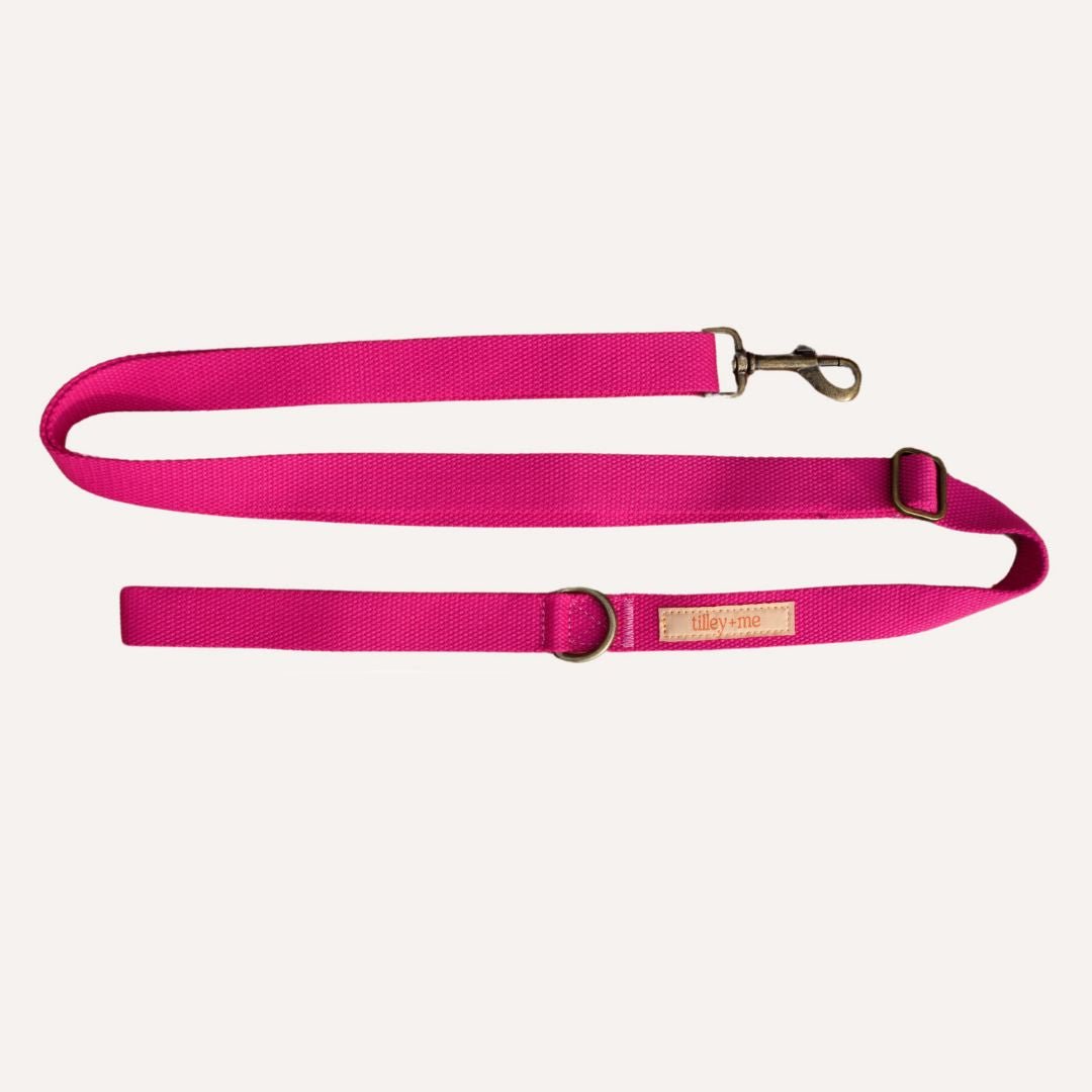 Tilley + Me Hemp Cotton Dog Leash - Durable, Sustainable, Adjustable, Lightweight &amp; Soft-Malibu