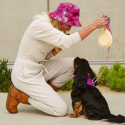 Tilley + Me Collapsible Double Pet Bowl – Lightweight &amp; Portable for Travel
