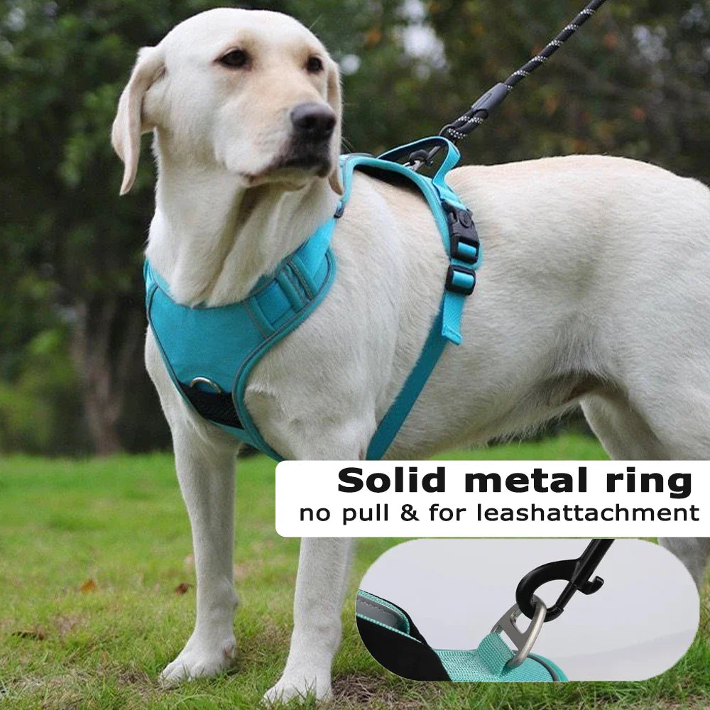 TrackSafe Reflective No-Pull Dog Harness &amp; Leash Set