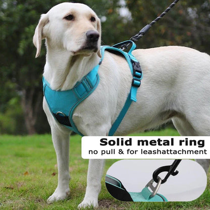 TrackSafe Reflective No-Pull Dog Harness &amp; Leash Set
