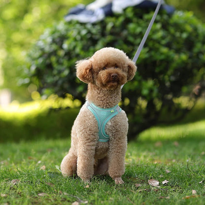 Dog Harness Leash