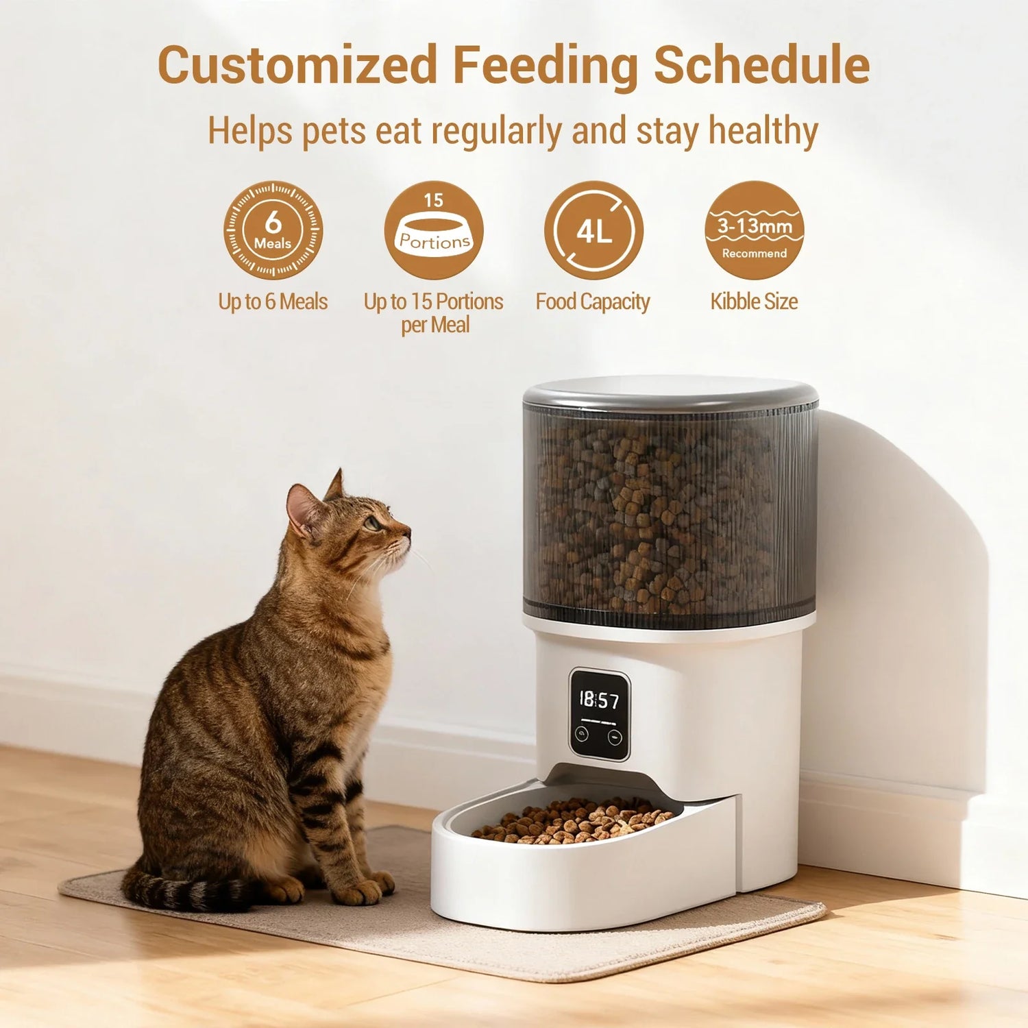 4L Automatic Cat Feeder with Timer Portion Control 1-6 Meals Per Day Button Control for Cats &amp; Small Dogs Supplies