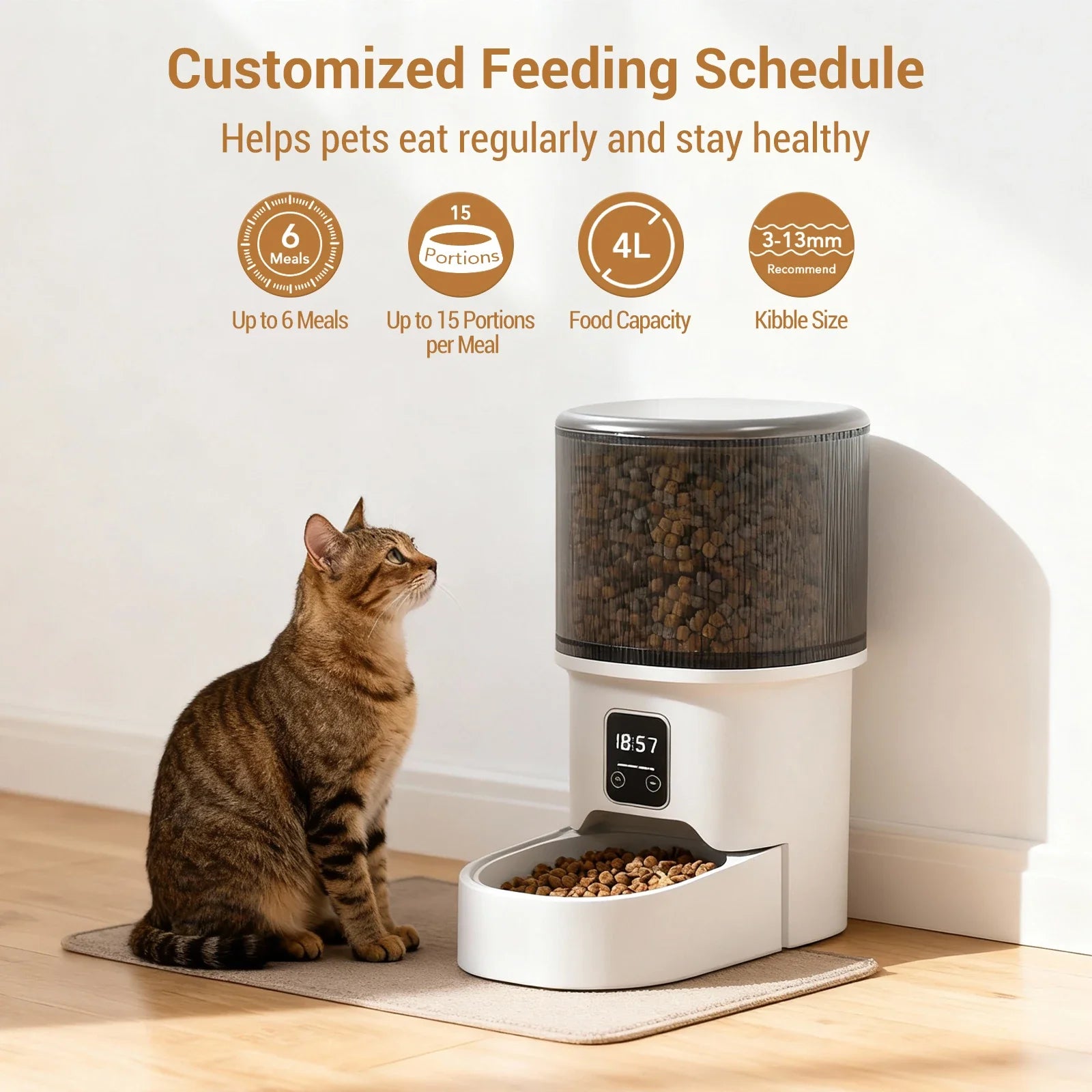 4L Automatic Cat Feeder with Timer Portion Control 1-6 Meals Per Day Button Control for Cats &amp; Small Dogs Supplies
