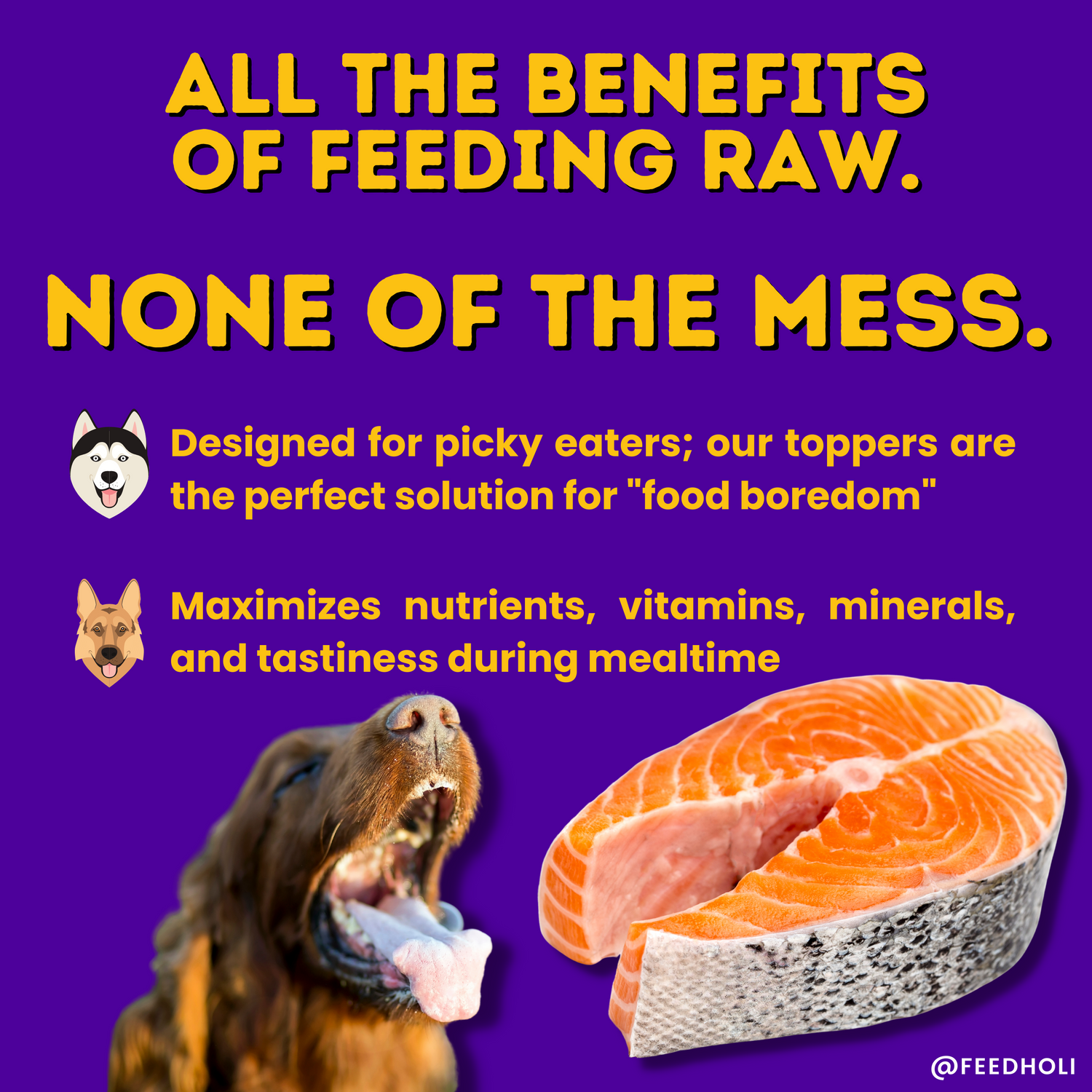 Wild Caught Salmon Dog Food Topper - Freeze Dried - Single Ingredient