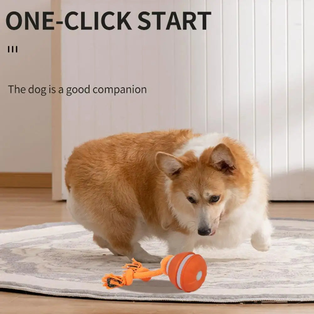 Pet Ball Interactive Toys for Dogs Motion Activate Rolling Ball for Puppy/Small Dogs Automatic Moving Toy USB Rechargeable Toy