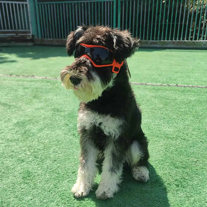 Pet UV Goggles: Cool Eyewear for Dogs &amp; Cats