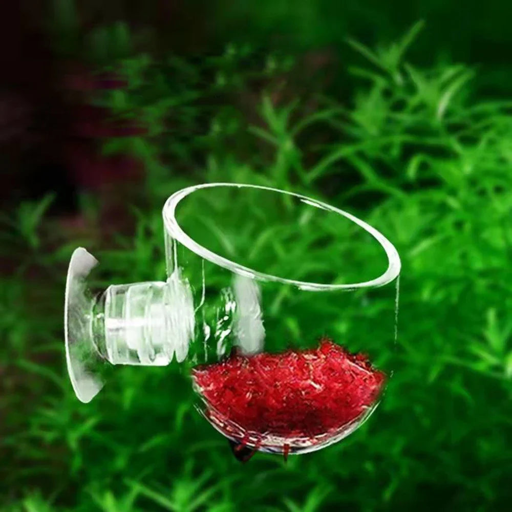 Fish Tank Red Worm Cup Feeder Earthworm Feeding Water Grass Cup Aquarium Suction Cup Decoration