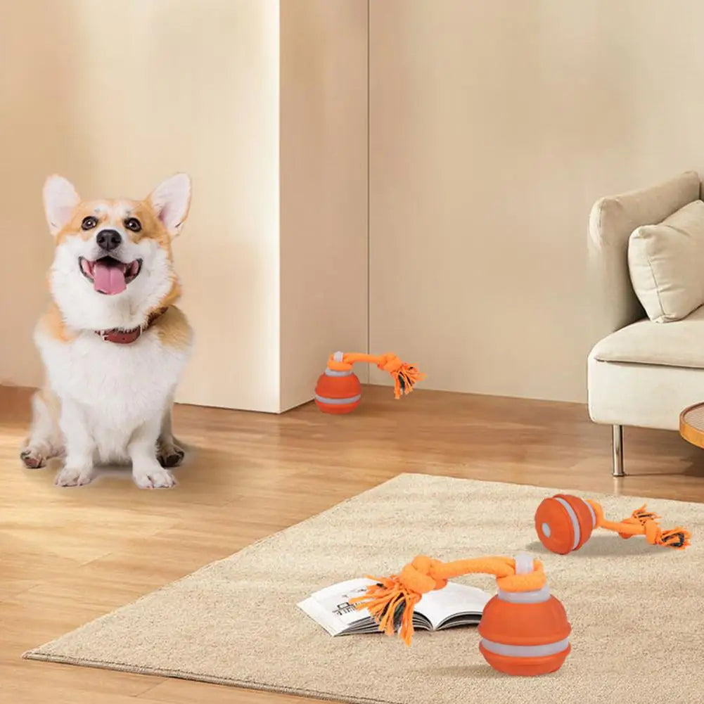 Pet Ball Interactive Toys for Dogs Motion Activate Rolling Ball for Puppy/Small Dogs Automatic Moving Toy USB Rechargeable Toy