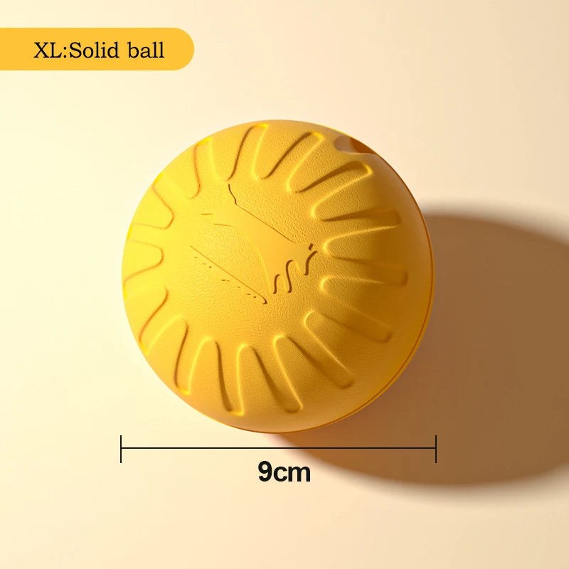 Flying Disc + Ball + Tug Rope