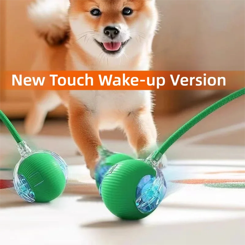 Ball Toy,Automatic Rolling