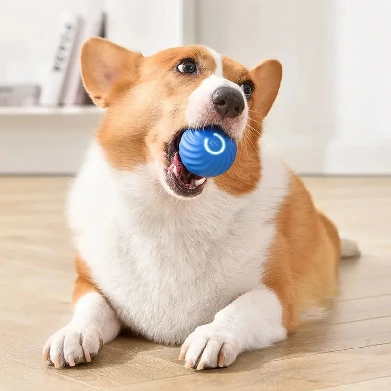 Smart Dog Toys Ball