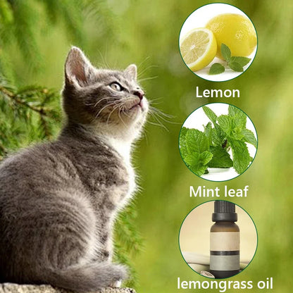 12Pcs Cat Deterrent Natural Peppermint Oil Cat &amp; Dog Nature Repellent To Keep Feral Cats Stray Dogs Out of Yard