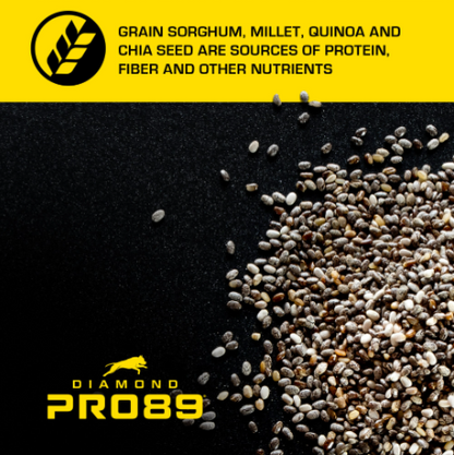 Diamond Pro89 Beef, Pork &amp; Ancient Grains Formula for Adult Dogs 40lbs.