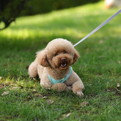 Dog Harness Leash