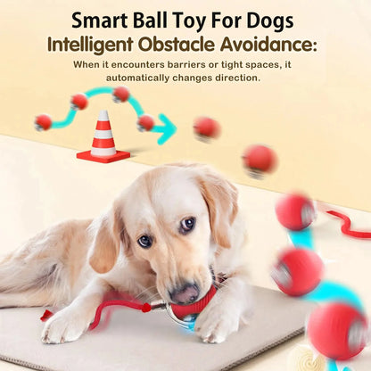 Ball Toy,Automatic Rolling