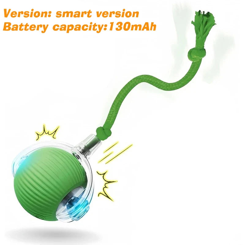 Ball Toy,Automatic Rolling