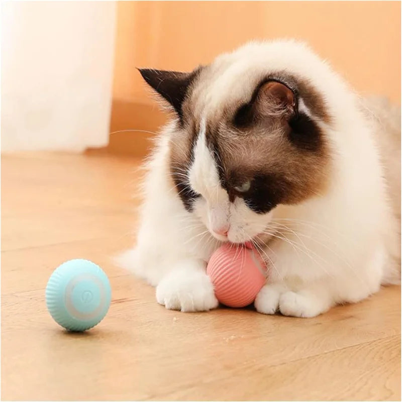 Smart Dog Toys Ball