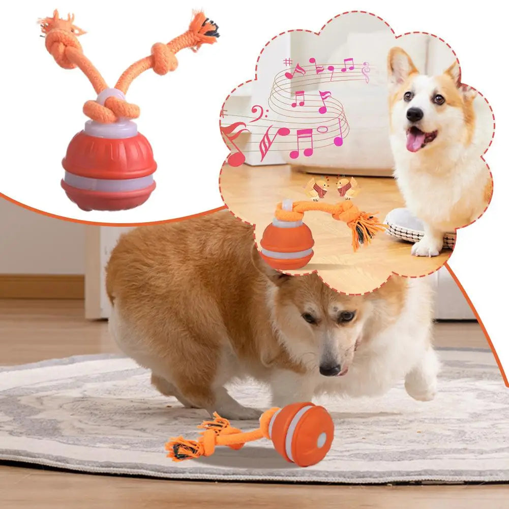 Pet Ball Interactive Toys for Dogs Motion Activate Rolling Ball for Puppy/Small Dogs Automatic Moving Toy USB Rechargeable Toy