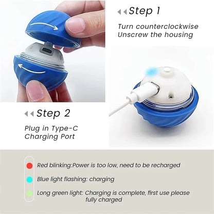 Smart Dog Toys Ball