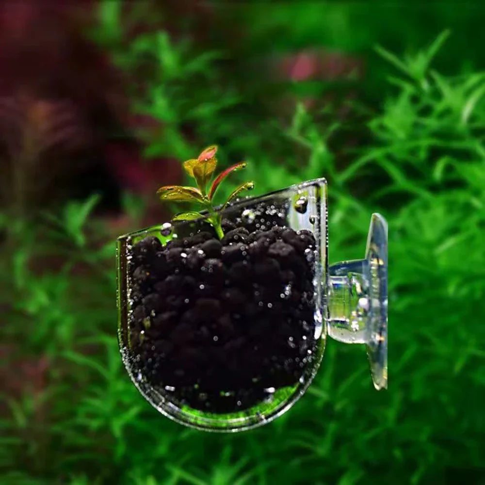 Fish Tank Red Worm Cup Feeder Earthworm Feeding Water Grass Cup Aquarium Suction Cup Decoration