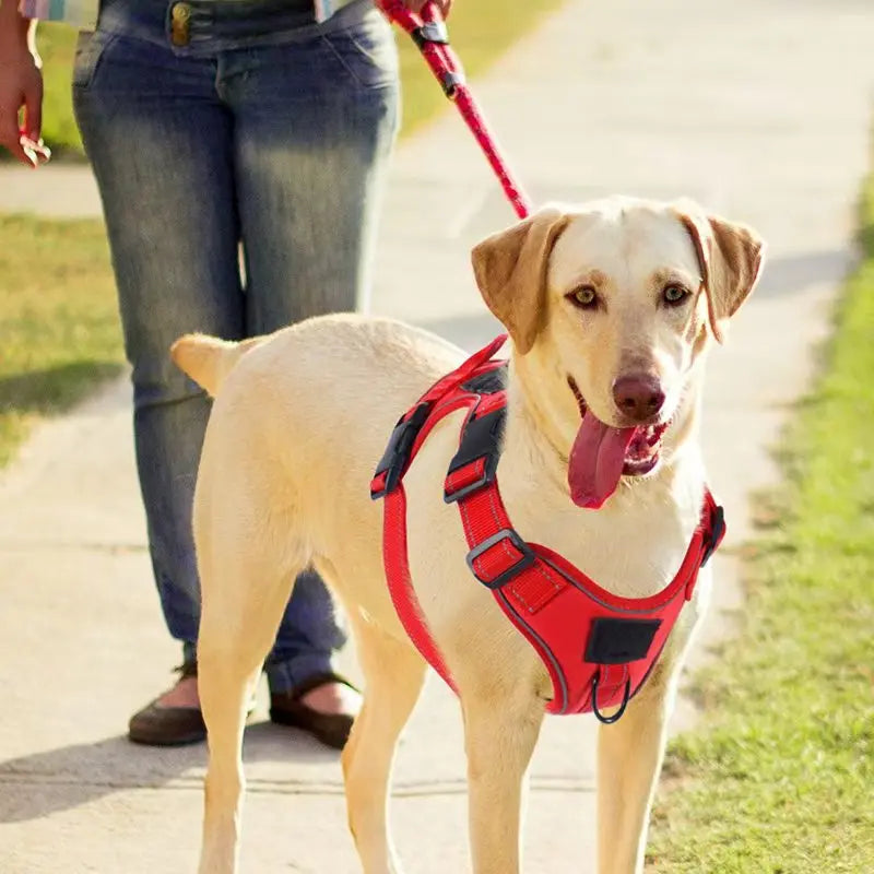 No Pull Dog Harness with Locator Silicone Protective Cover Anti slip Adjustable Pet Chest Harness for Medium &amp; Large Dogs