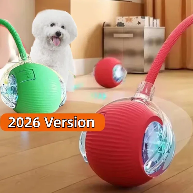 Ball Toy,Automatic Rolling