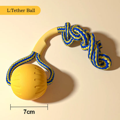Flying Disc + Ball + Tug Rope
