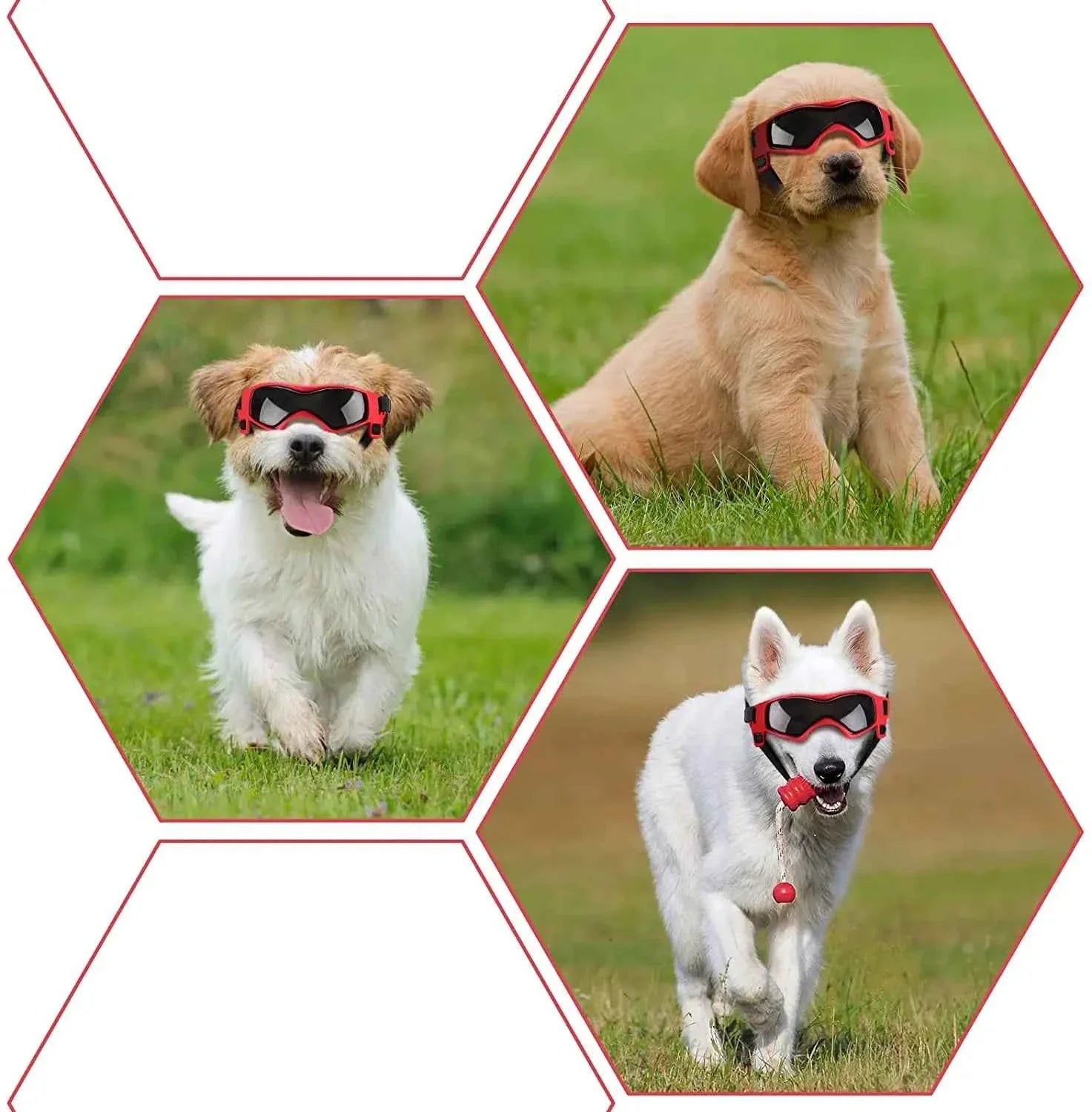 Pet UV Goggles: Cool Eyewear for Dogs &amp; Cats