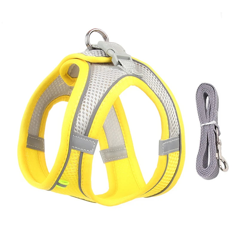 Dog Harness Leash