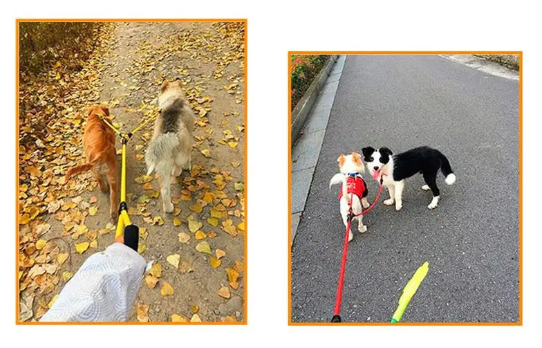 Dog Leash Double Leashes for Dogs Walking Detachable Dog Chains Two Dogs Double Leashes Walker Pet Supplies Accessories Pet Belt