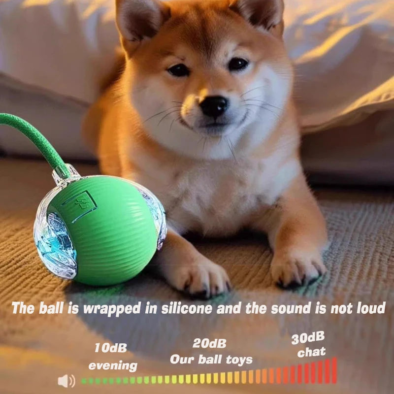 Ball Toy,Automatic Rolling