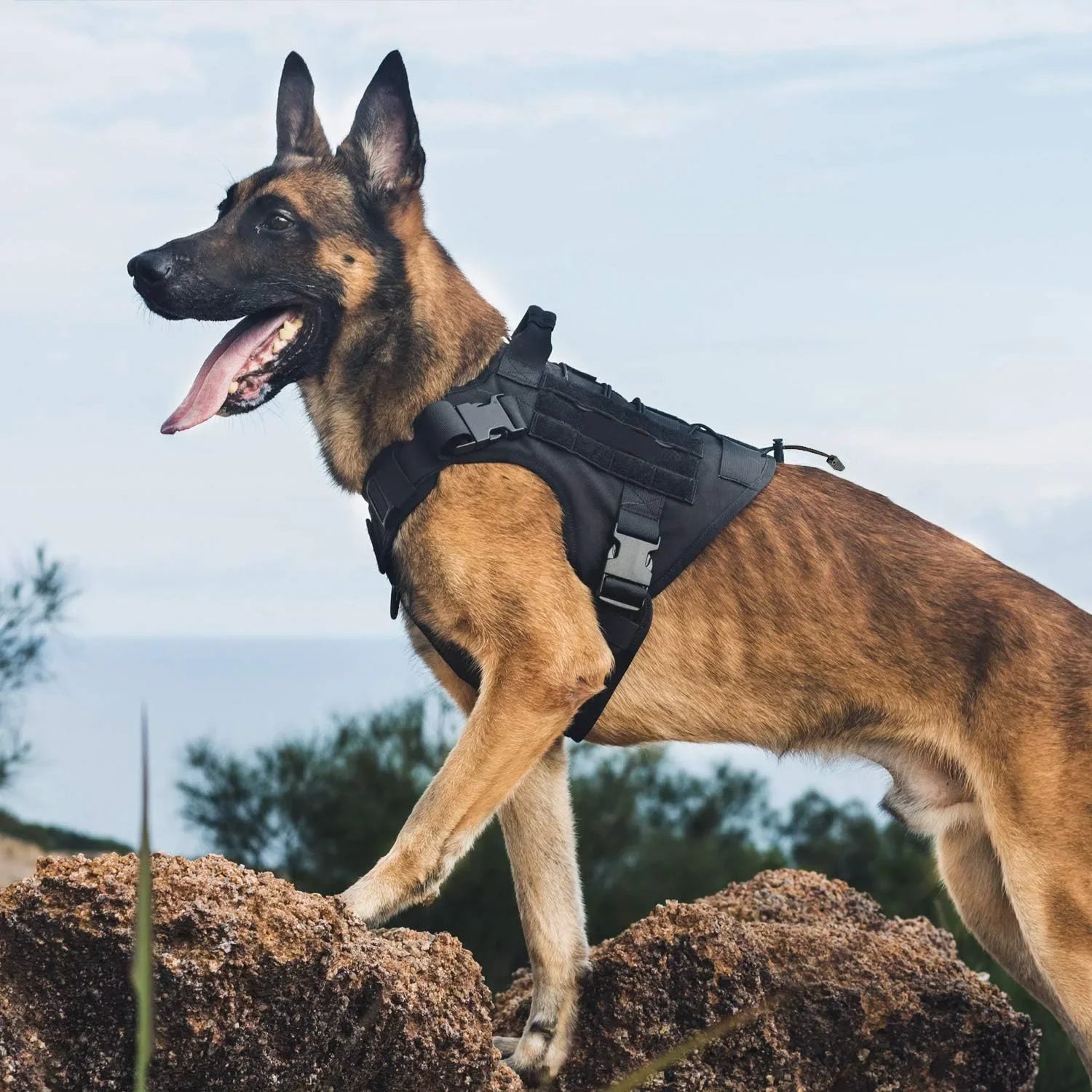 TactiGrip No-Pull Dog Vest: Adjustable &amp; Secure
