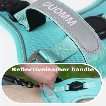 TrackSafe Reflective No-Pull Dog Harness &amp; Leash Set