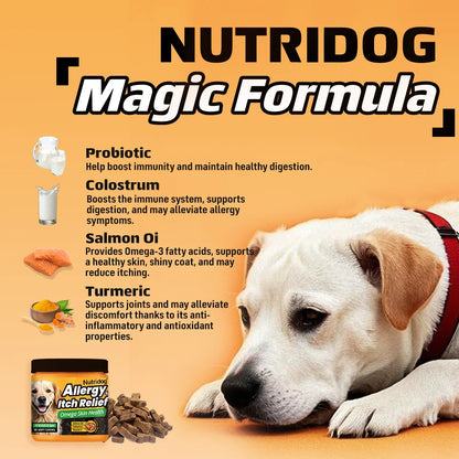 Nutridog Allergy Relief Dog Chews Omega 3 Vitamin C Support